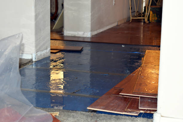 Professional Sewage Cleanup technician working in Harshaw, WI